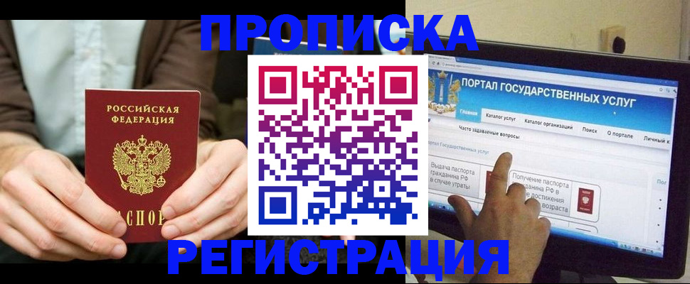 прописка в Коле